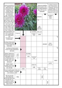 dahlia nostalgikorsord